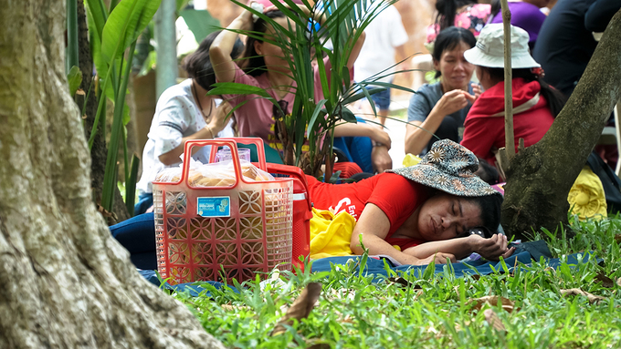 Vườn hoa trong sở thú Sài Gòn bị giẫm nát ngày đầu năm mới